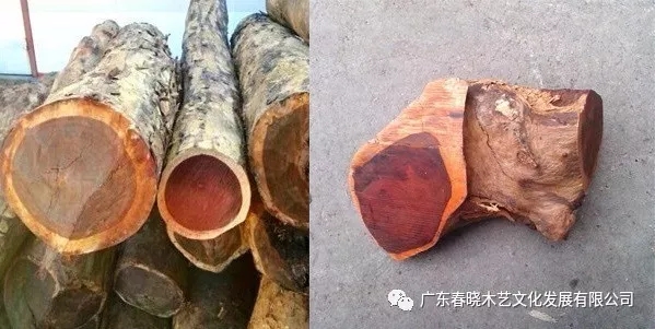 血檀和小葉紫檀到底有多像？（圖文并茂）(圖1)