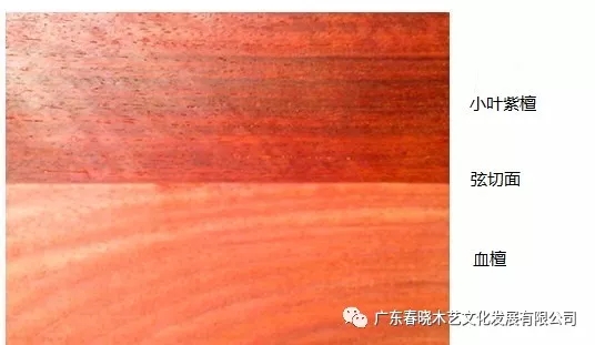 血檀和小葉紫檀到底有多像？（圖文并茂）(圖3)