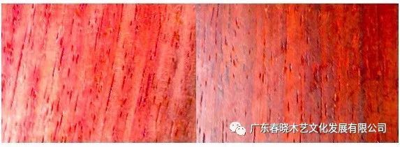 血檀和小葉紫檀到底有多像？（圖文并茂）(圖4)