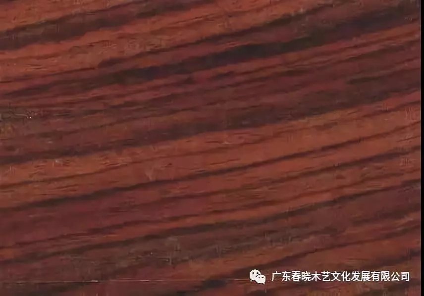你真的了解酸枝嗎？只是那些俗稱就能把你弄暈頭了(圖2)